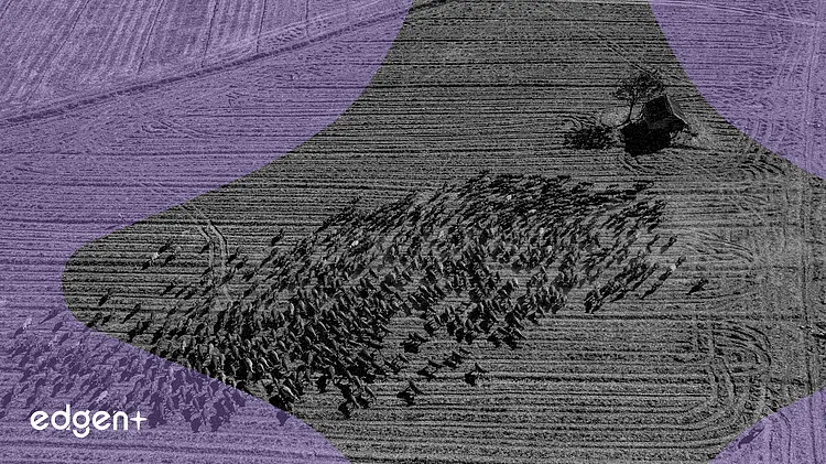 中国政协委员提议将区块链应用于农业发展