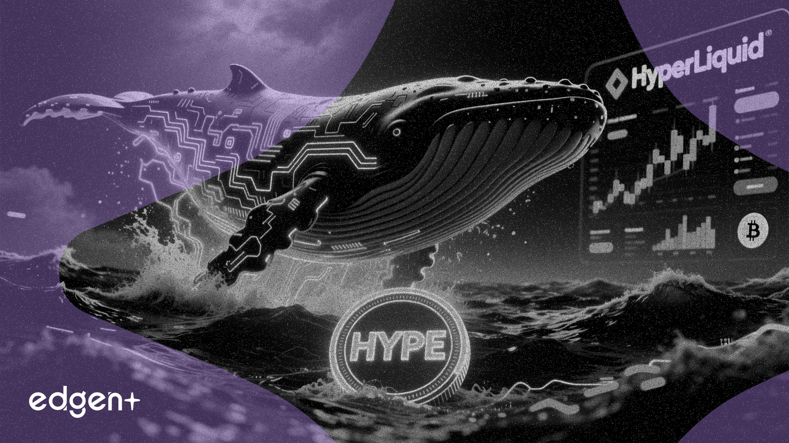 Cá voi đầu tư 1.73 triệu USD vào token HYPE trên HyperLiquid