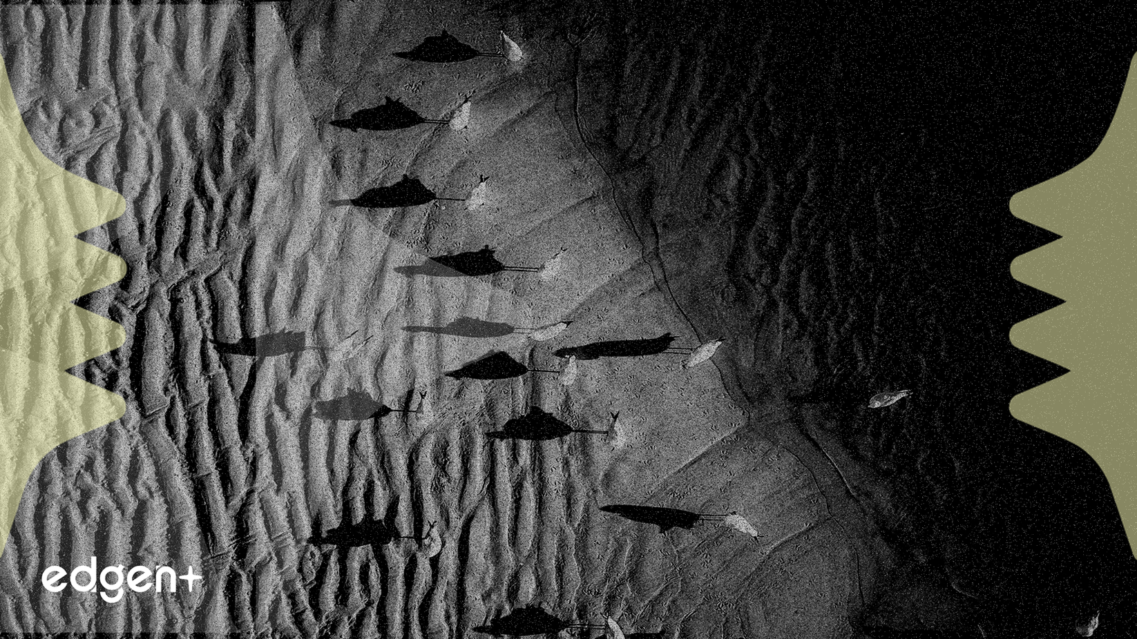 EE. UU. vuela bombarderos con Japón en una demostración de fuerza a China