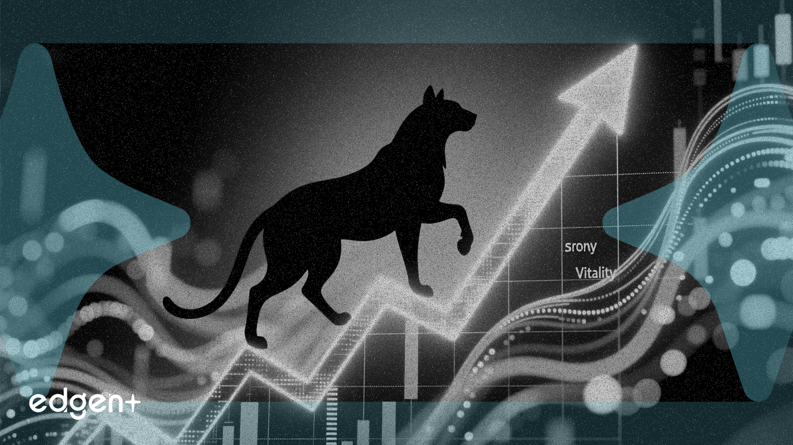 피브로, 동물 건강 수요에 힘입어 매출 15.4% 성장 전망