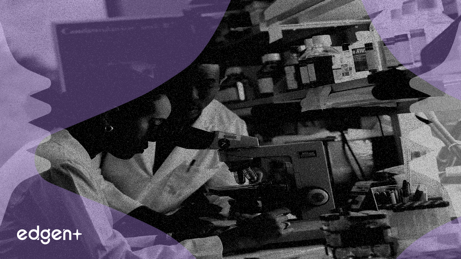 Abeona Therapeutics Hisseleri, Azalan Zararlar ve Önemli Geri Ödeme Onayının Ardından %17,9 Yükseldi