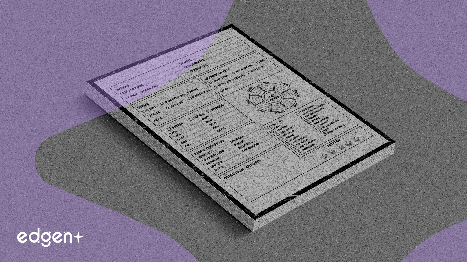 Tango Therapeutics在積極癌症數據後將Vopimetostat推進至關鍵試驗