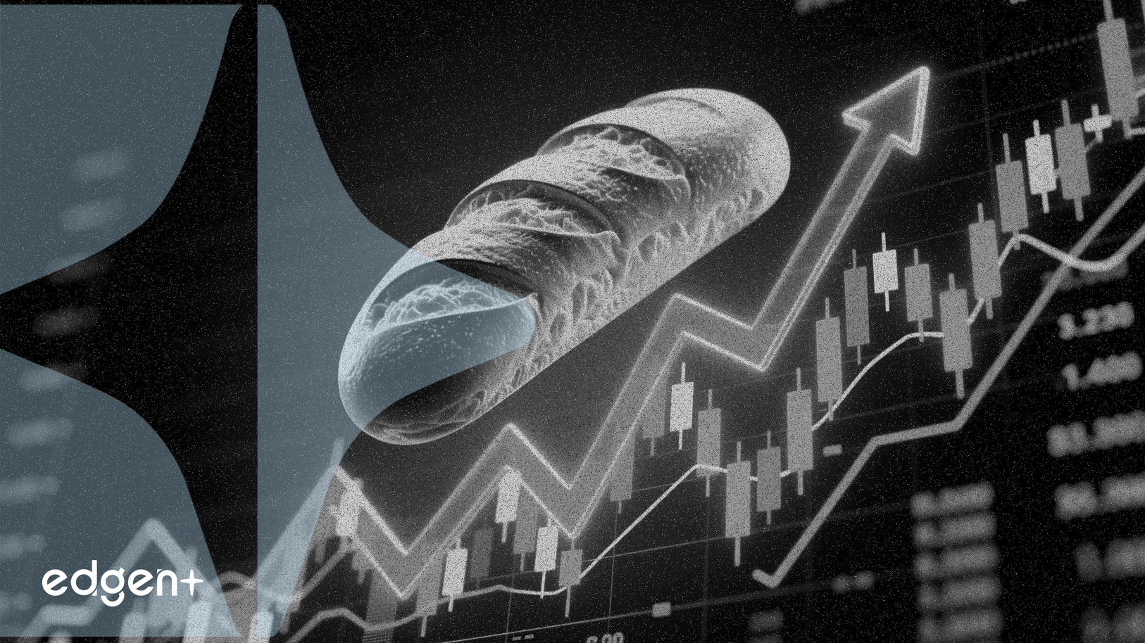 Bread Financial grimpe de 7,08 % grâce à une analyse favorable de Zacks