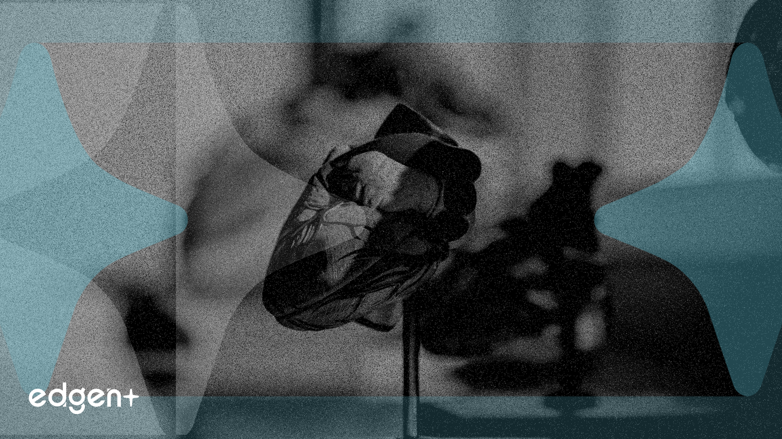 MicroPort CardioFlow Proyecta un Crecimiento del 350% en Implantes TAVI para 2025