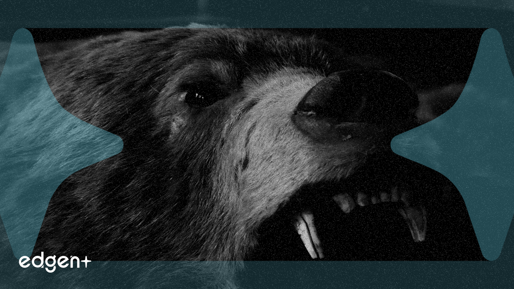 Citadel Strategist Warns of Ten Downside Risks for U.S. Stocks Amid AI Saturation and Hawkish Fed