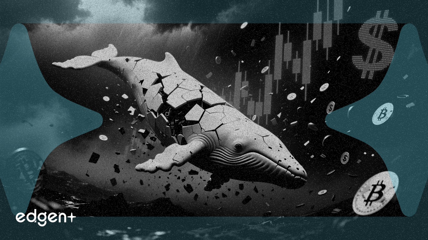 「白鯨」代幣因頂級持有者拋售130萬美元而暴跌60%