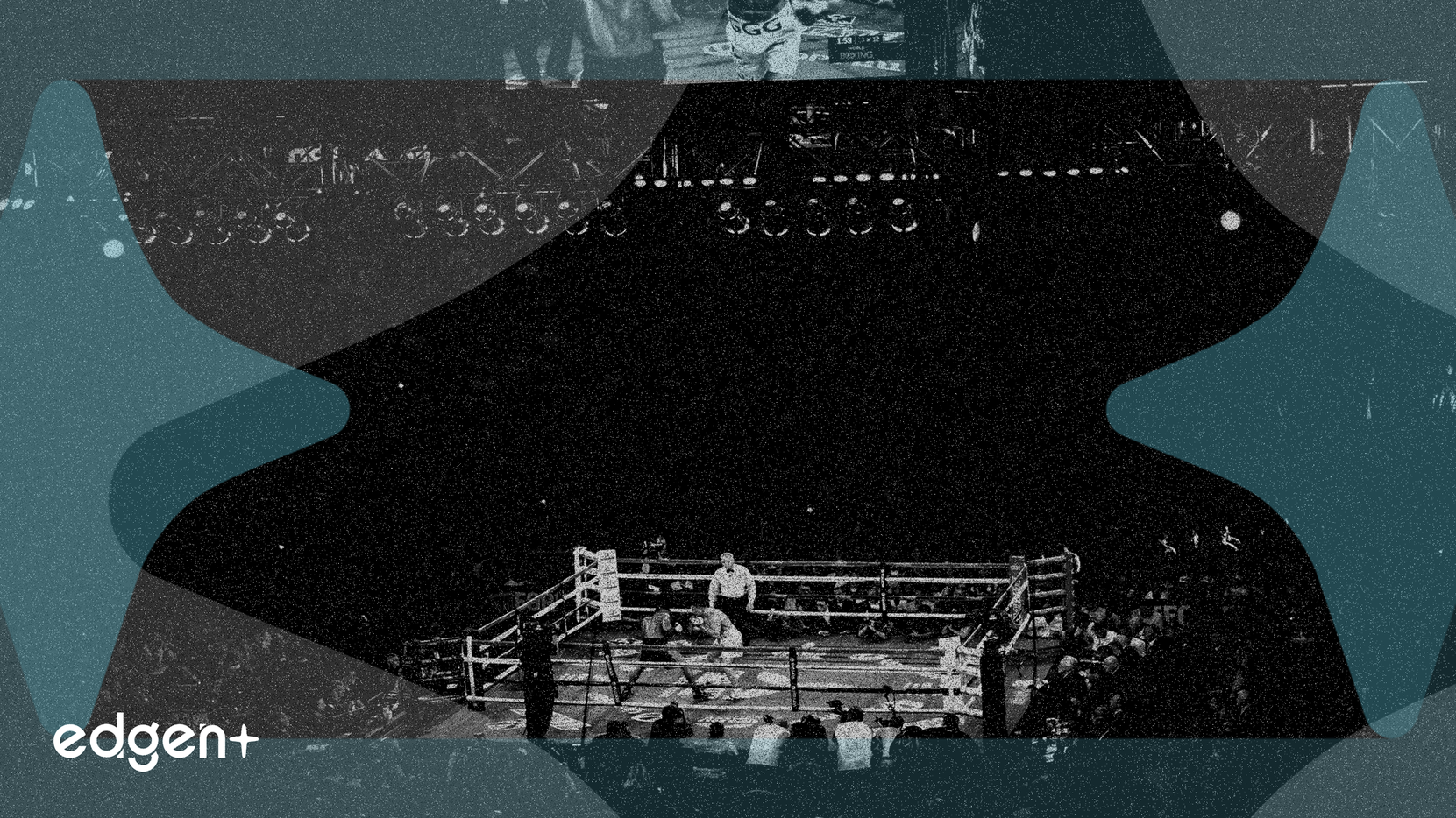 Rumble、Tate対DeMoor戦で購読者数増加を狙う