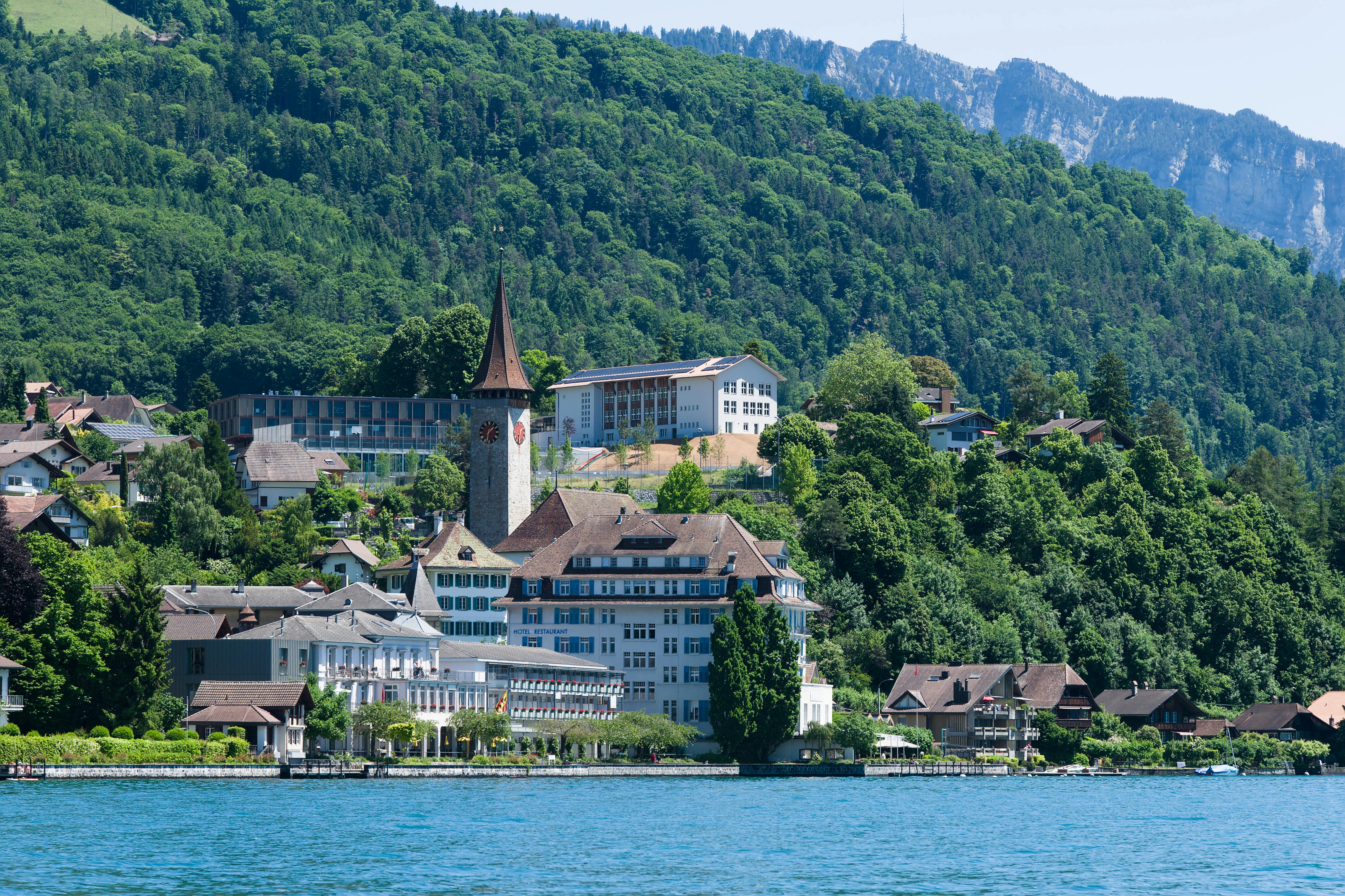 İsviçre Merkez Bankası Başkanı Schlegel, İsviçre'nin Stablecoin'lere İhtiyacı Olmadığını Belirtti