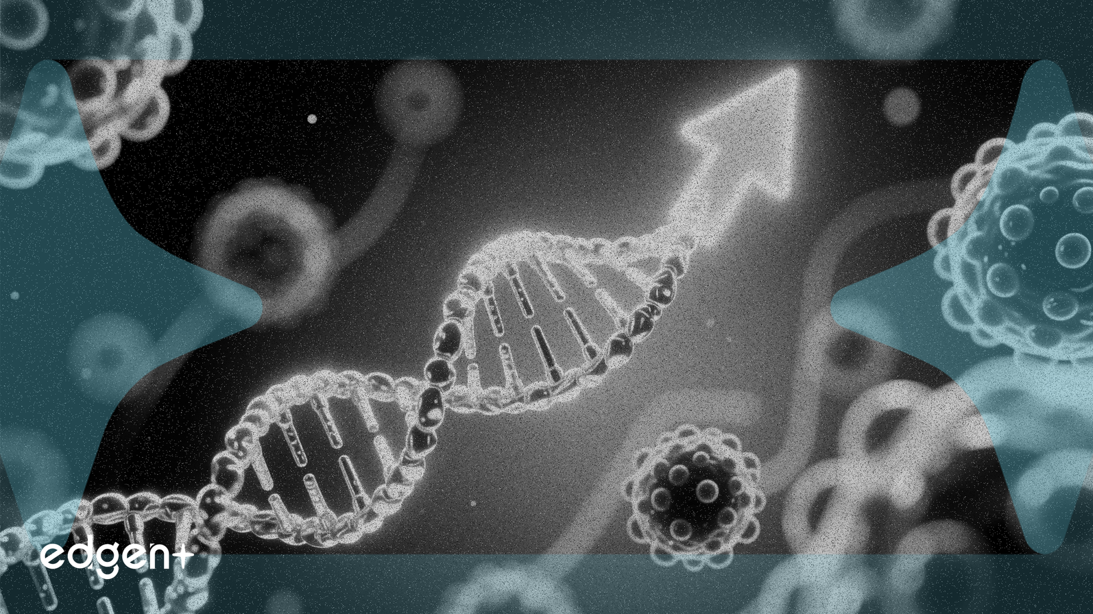 科倫博泰中國抗癌藥試驗獲批後股價上漲2.1%