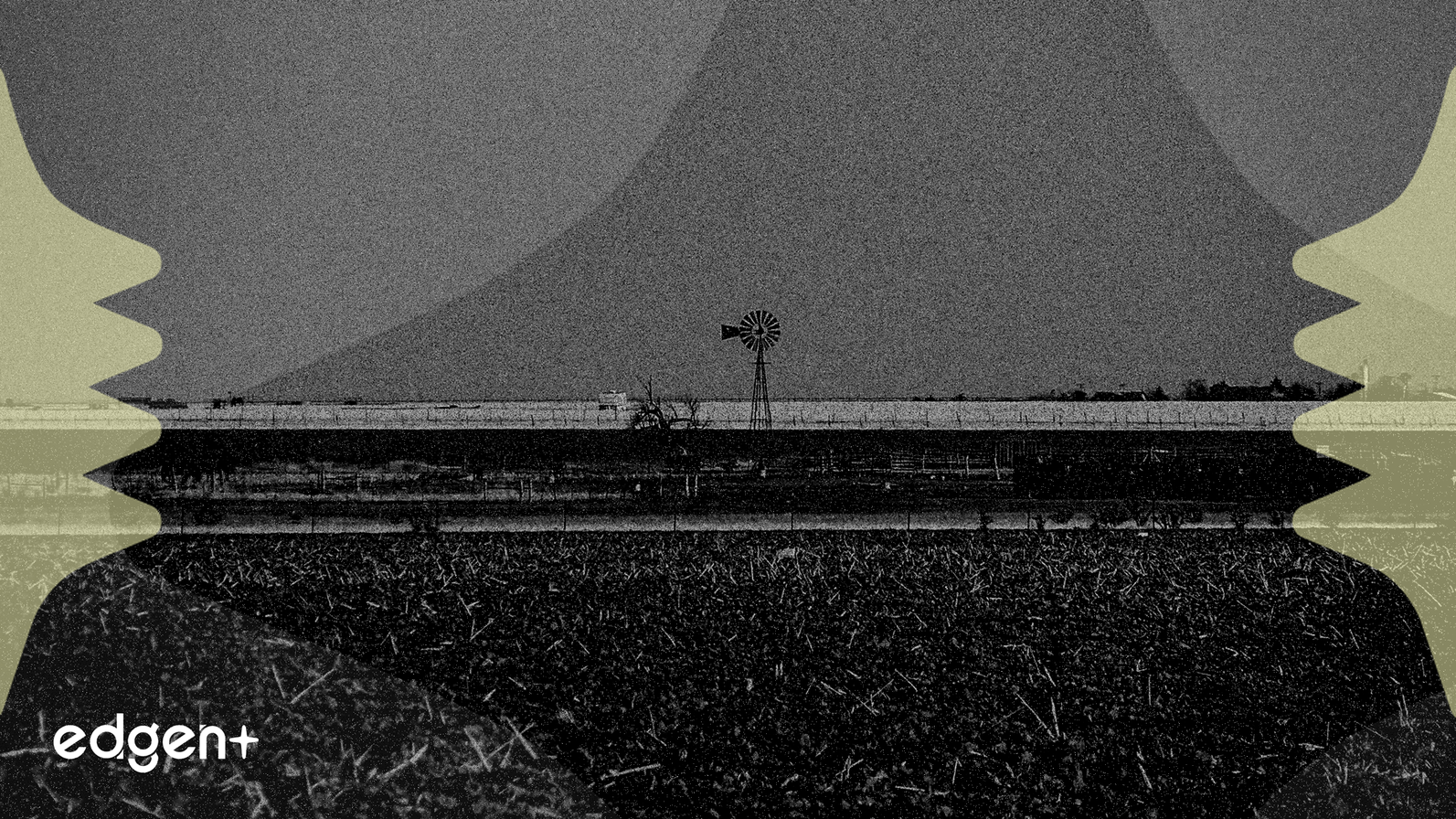 能源成本上漲，CF Industries 營收仍增長 21%