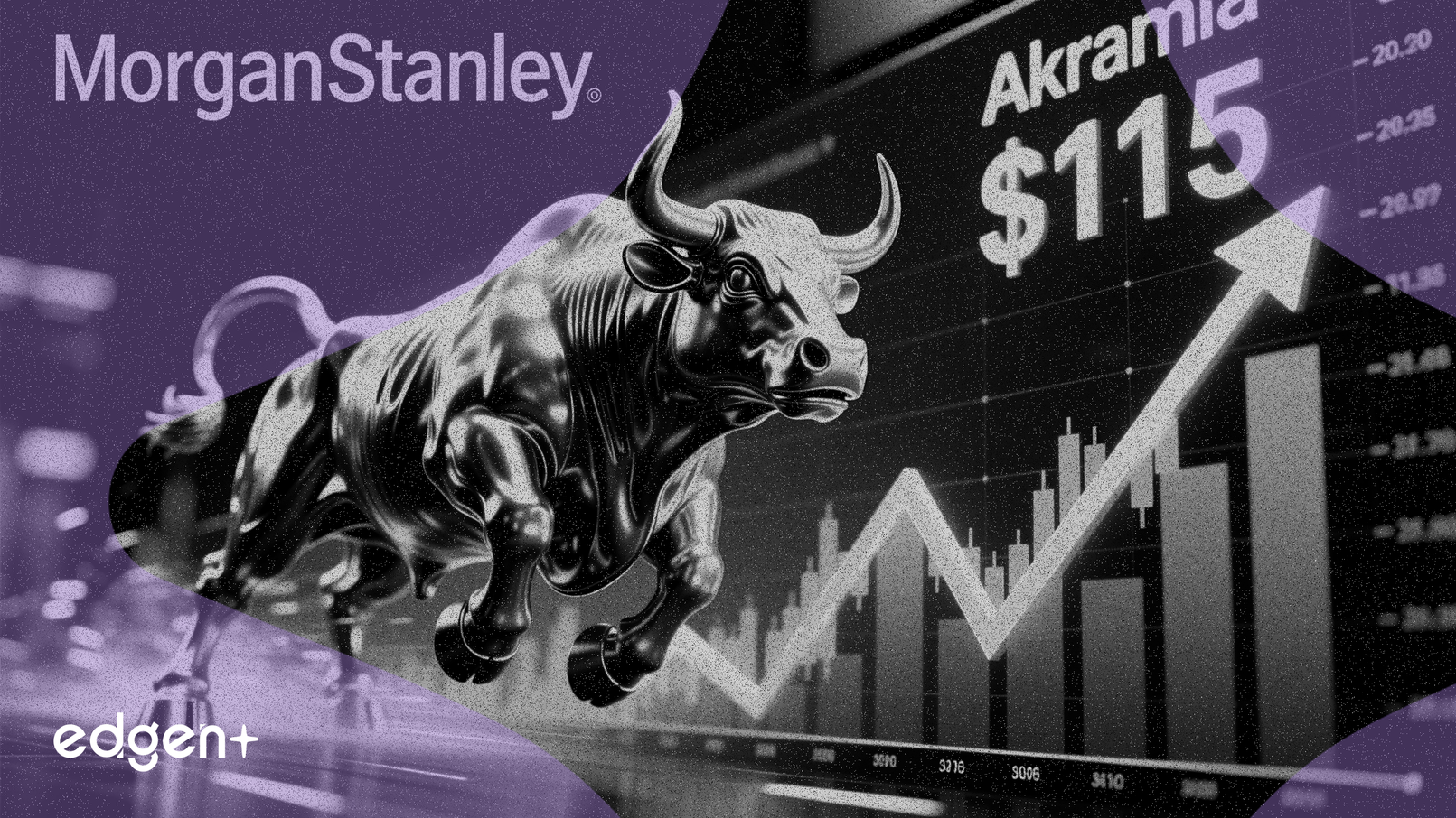 Morgan Stanley Double-Upgrades Akamai, Sets $115 Price Target
