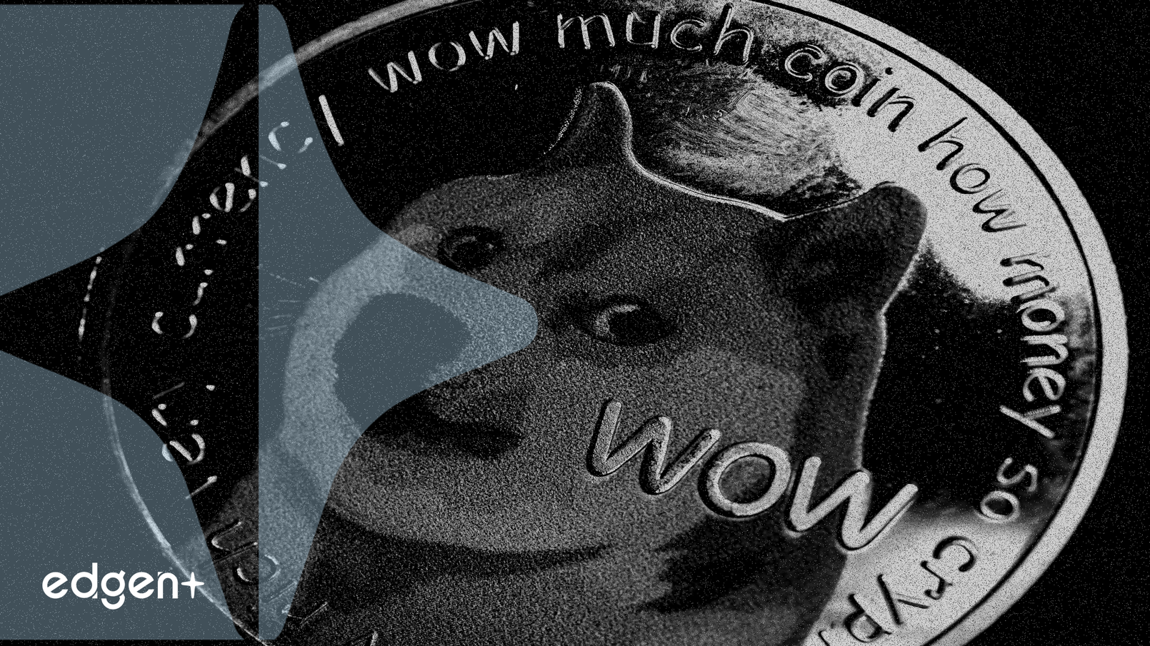 Piyasa Volatilitesi Ortasında Meme Coin Spekülasyonunu Tetikleyen Psikolojik Faktörler