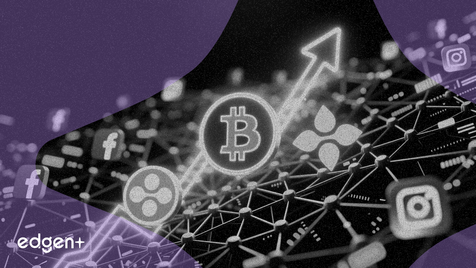 Bitcoin ve XRP Sosyal Medyaya Hükmediyor, Boğa Piyasası Sinyali Veriyor