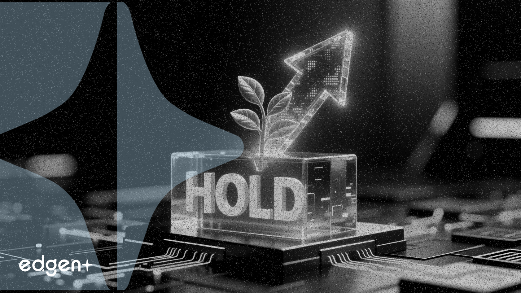 思科預測增長，但高估值導致「持有」評級