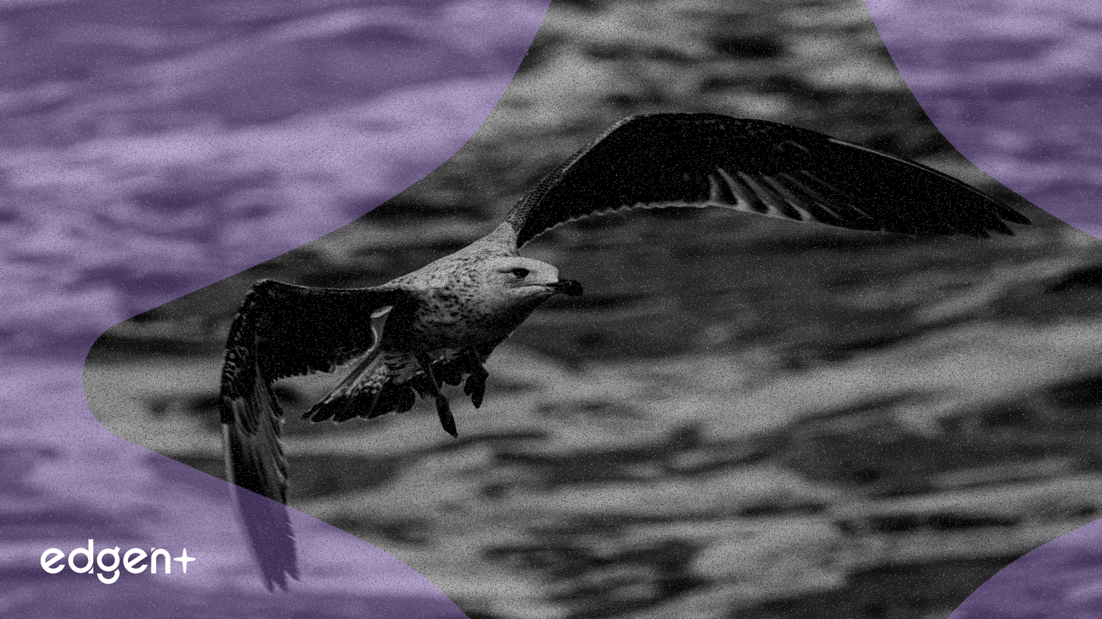 Redwire bổ nhiệm Giám đốc độc lập mới, củng cố quản trị trong bối cảnh thị trường chứng khoán biến động