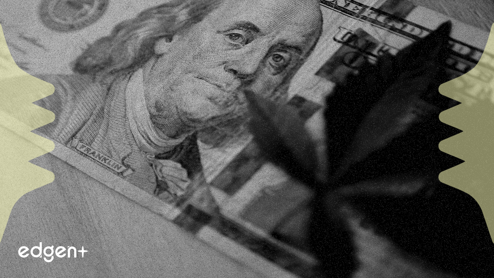 Ascend Wellness Holdings bị hạ cấp giữa lúc ngành cần sa suy yếu về cơ bản