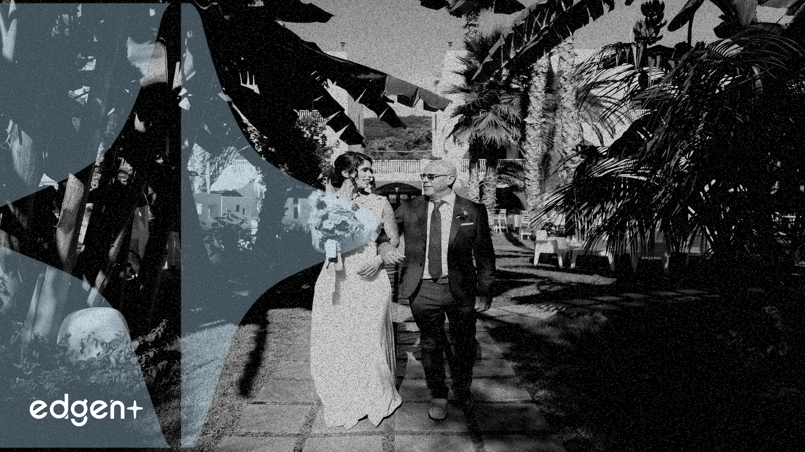 RWAfi Protocol Novastro Postpones Token Generation Event Amid Market Downturn