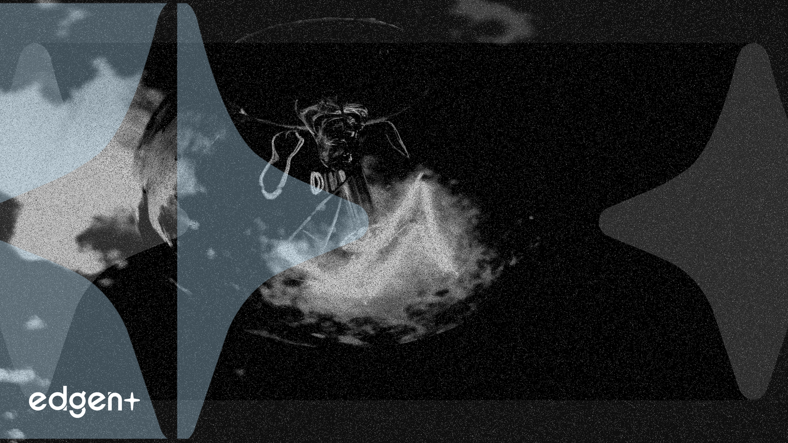 Les prévisions de croissance du marché de l'IA se heurtent aux craintes de bulle