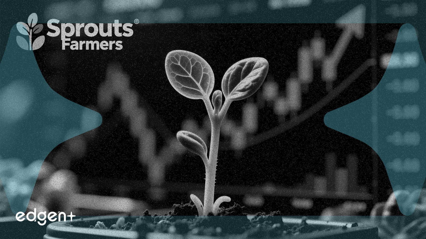 Sprouts Farmers Hissesi Güçlü Büyüme Beklentisine Rağmen %1,9 Düştü