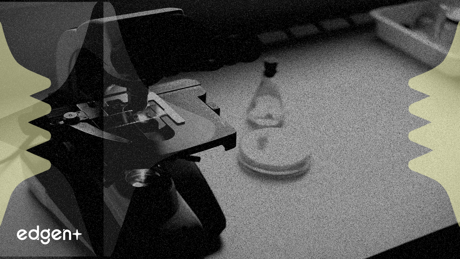 Onco-Innovations、アルバータ大学賞でPNKP技術提携を強調