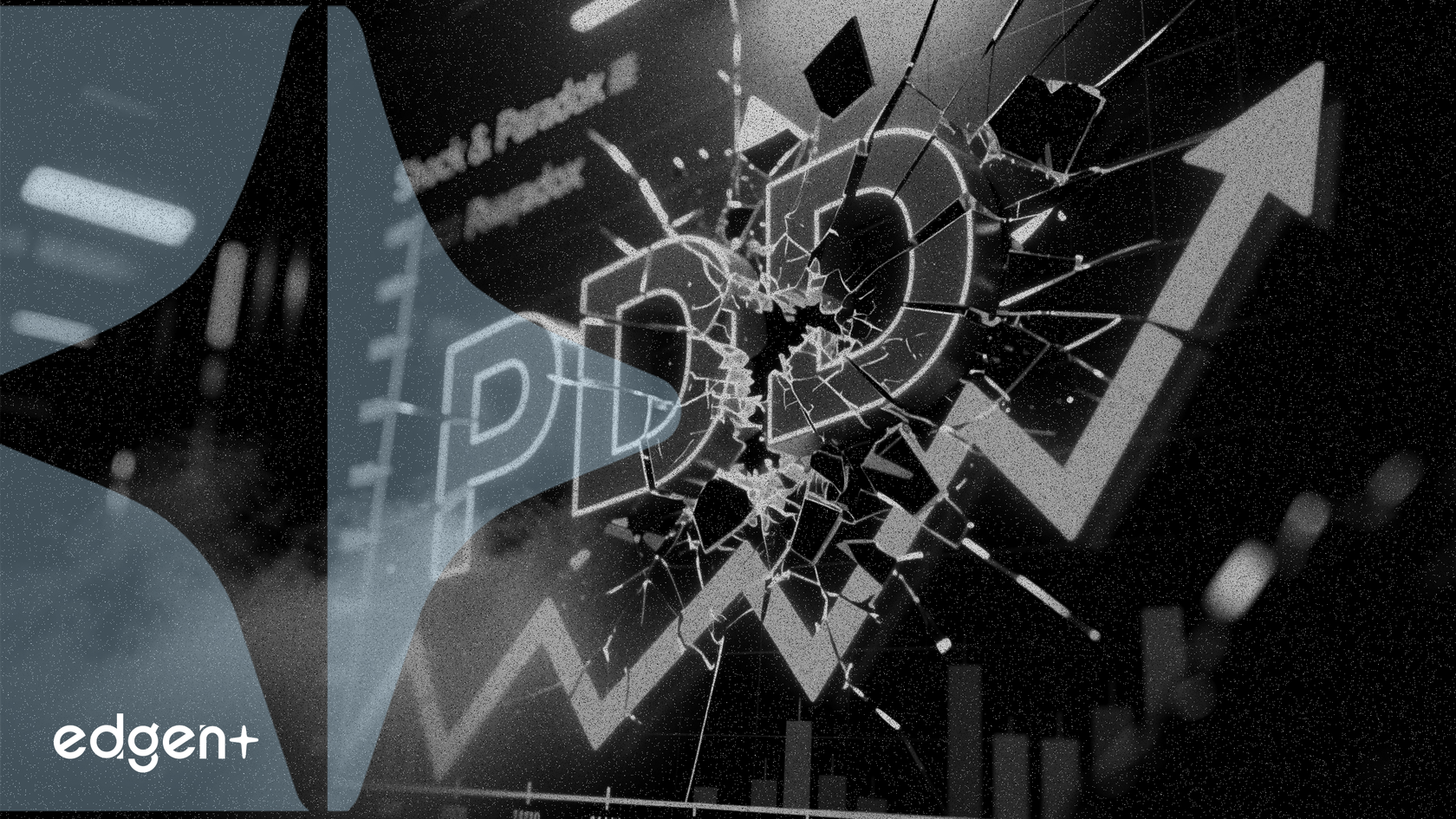 PDD Stock Drops 14.5% Despite Upward Earnings Revisions