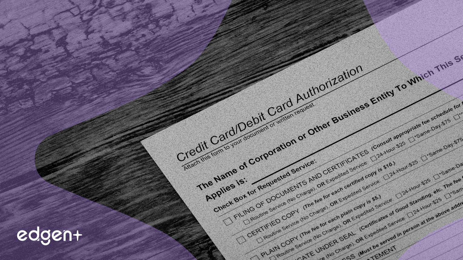 Divergent Market Behavior: Bitcoin Whales Accumulate $4.6B as Retail Holders Sell Into Price Slump