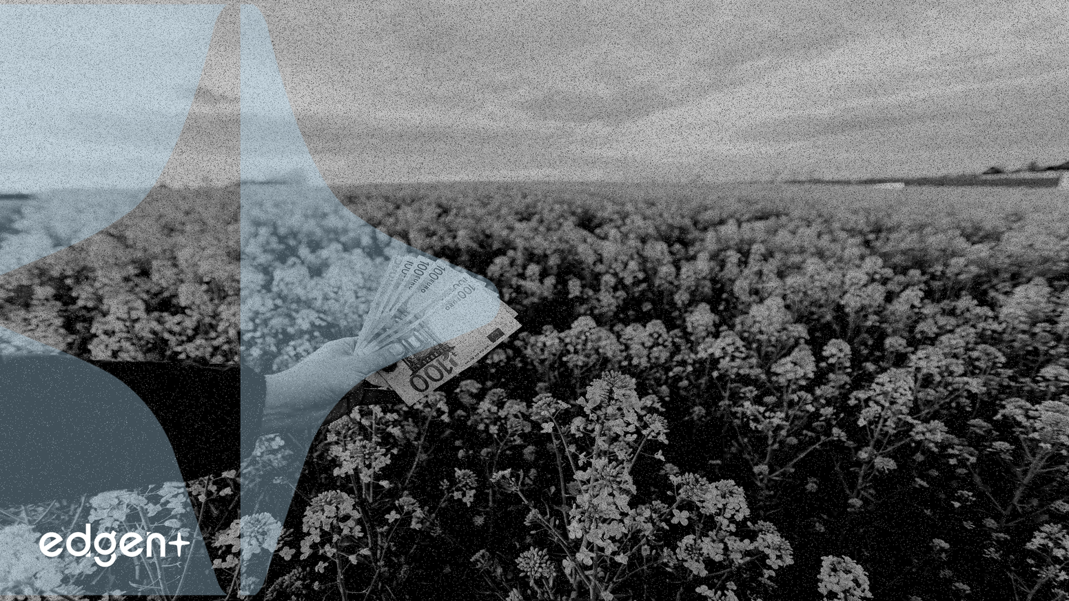 Acre Introduces 14% Bitcoin Yield Vault Leveraging Ethereum DeFi