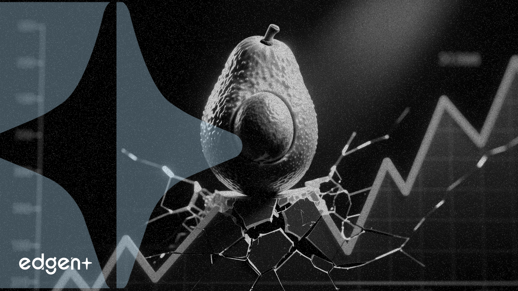 Mission Produce, %10'luk Kar Düşüşü Tahminine Rağmen %4 Artış Gösterdi