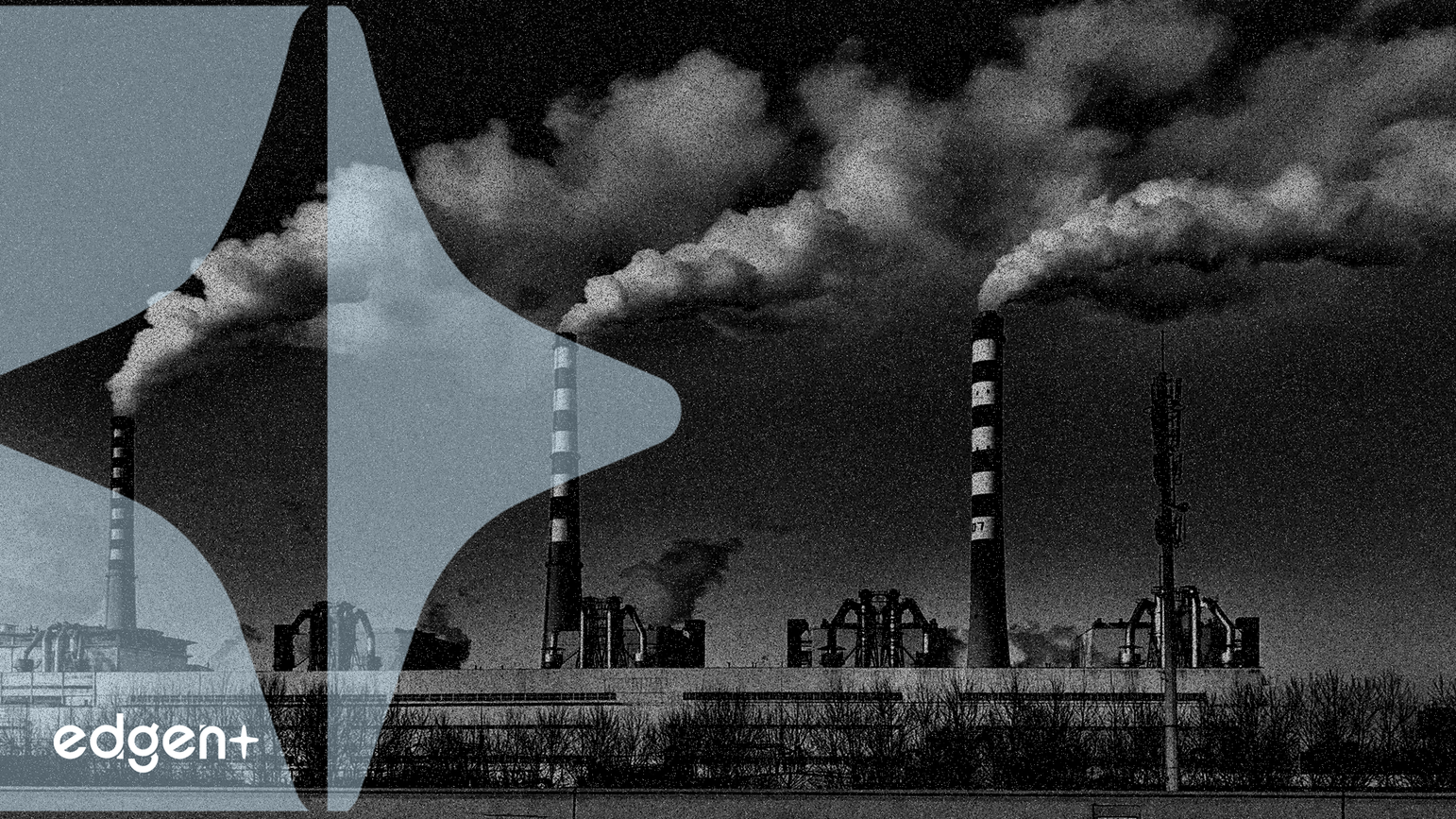 화석 연료 경영진의 주식 매입, 규제 당국의 조사 촉발