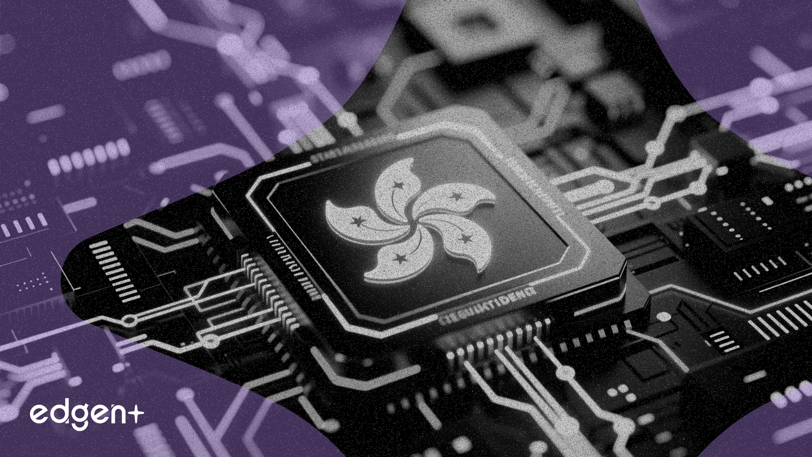 香港金管局注资20.5亿港元，稳定币牌照临近