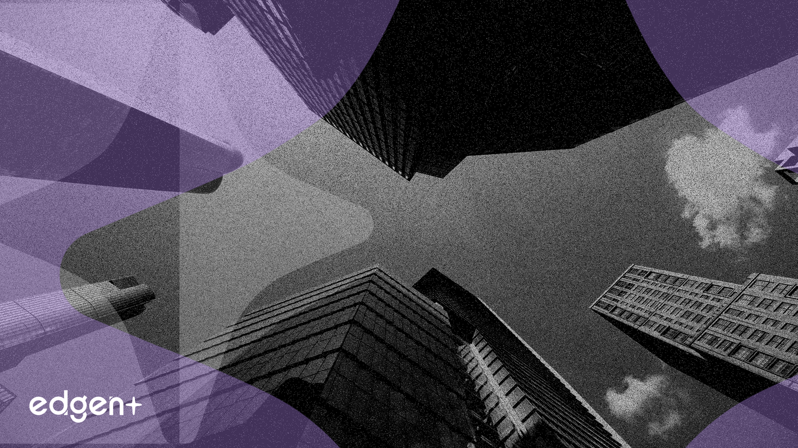 Fox Draws Investor Interest With Buyback