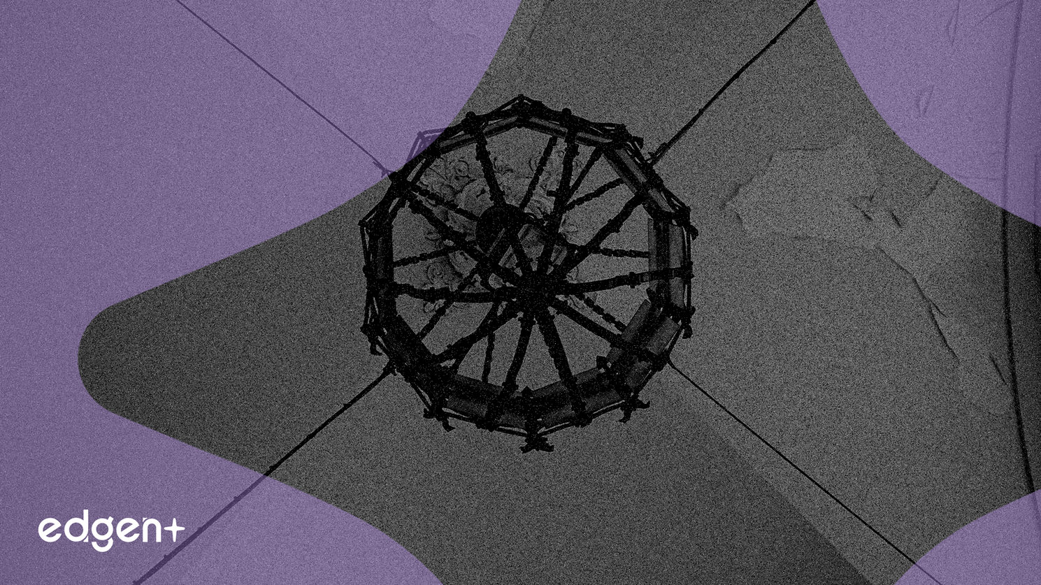 아마존 위성 배치, 스타링크 지배력에 도전