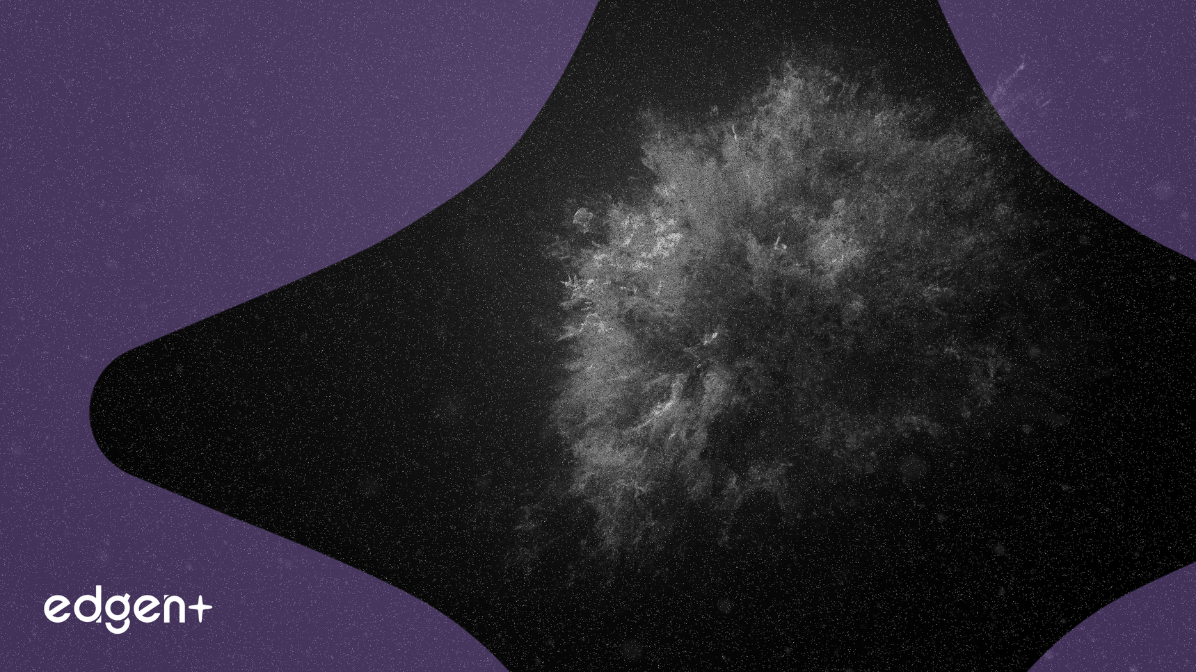 Alliance共同創設者、仮想通貨市場で50%超の調整リスクを警告