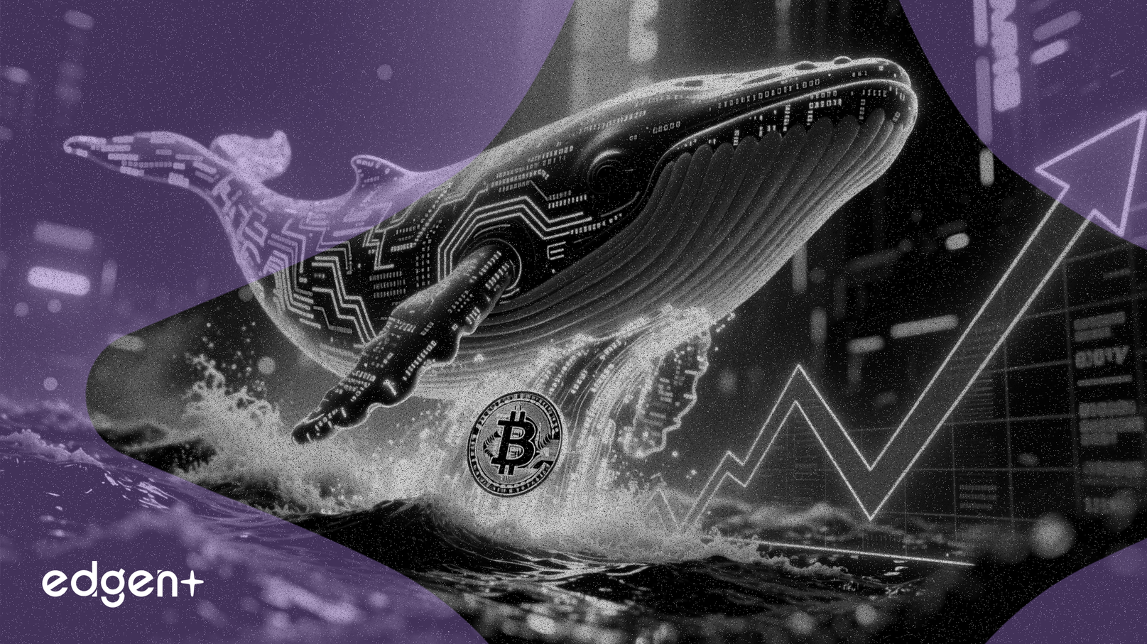 RIVER巨鲸向交易所转移140万美元，预示获利了结