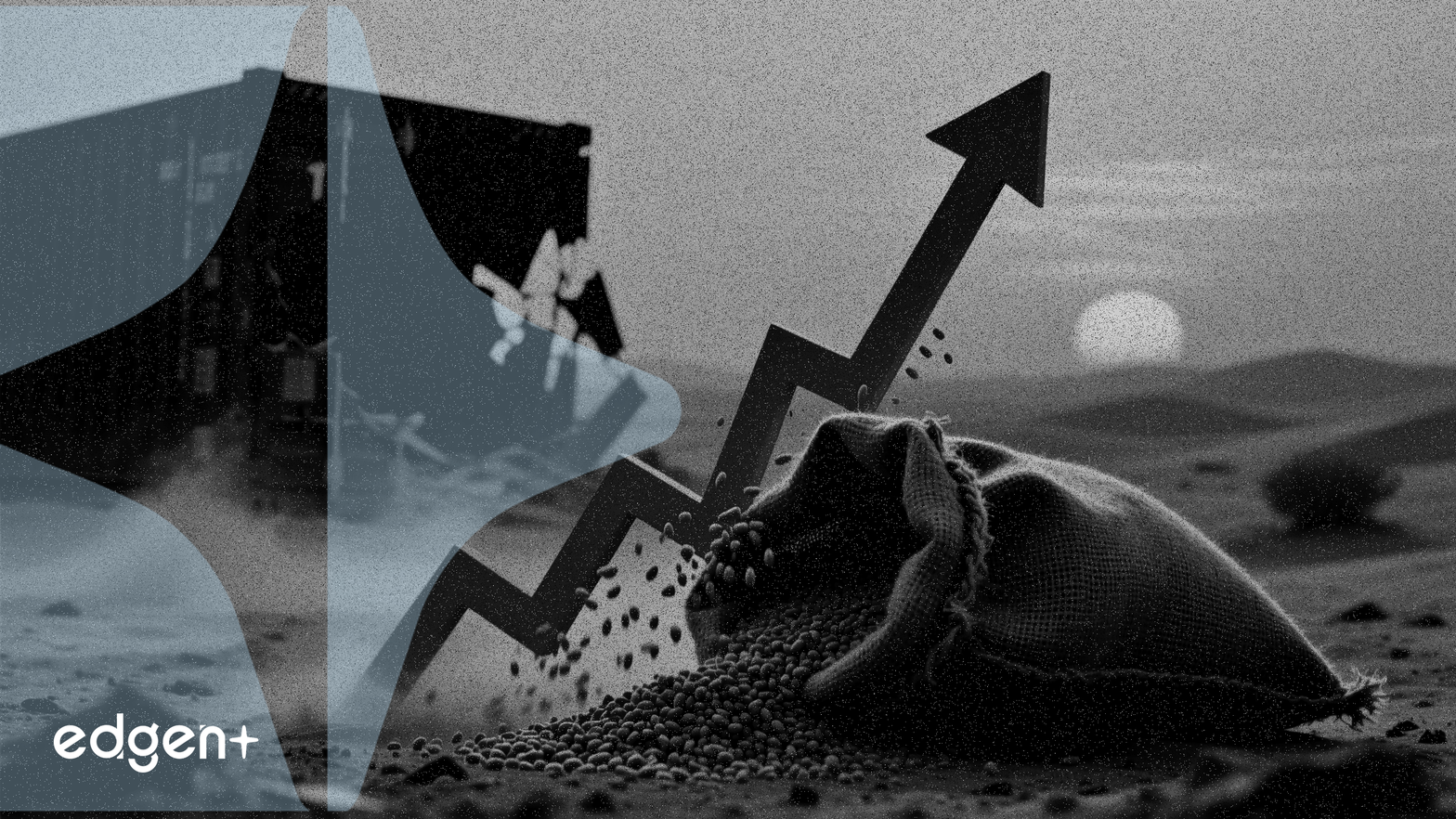 Los precios de los fertilizantes se disparan al detener el conflicto en Oriente Medio el 35% de las exportaciones de urea