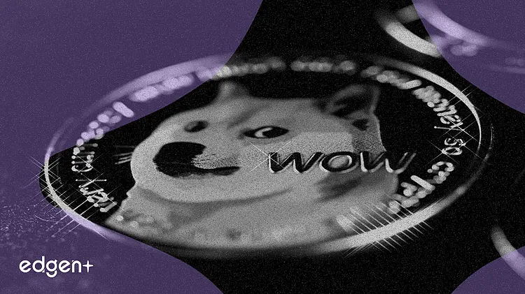 Dogecoin Cash, Hissedarlara 150 Milyon Adet DOG Meme Token Dağıtacak