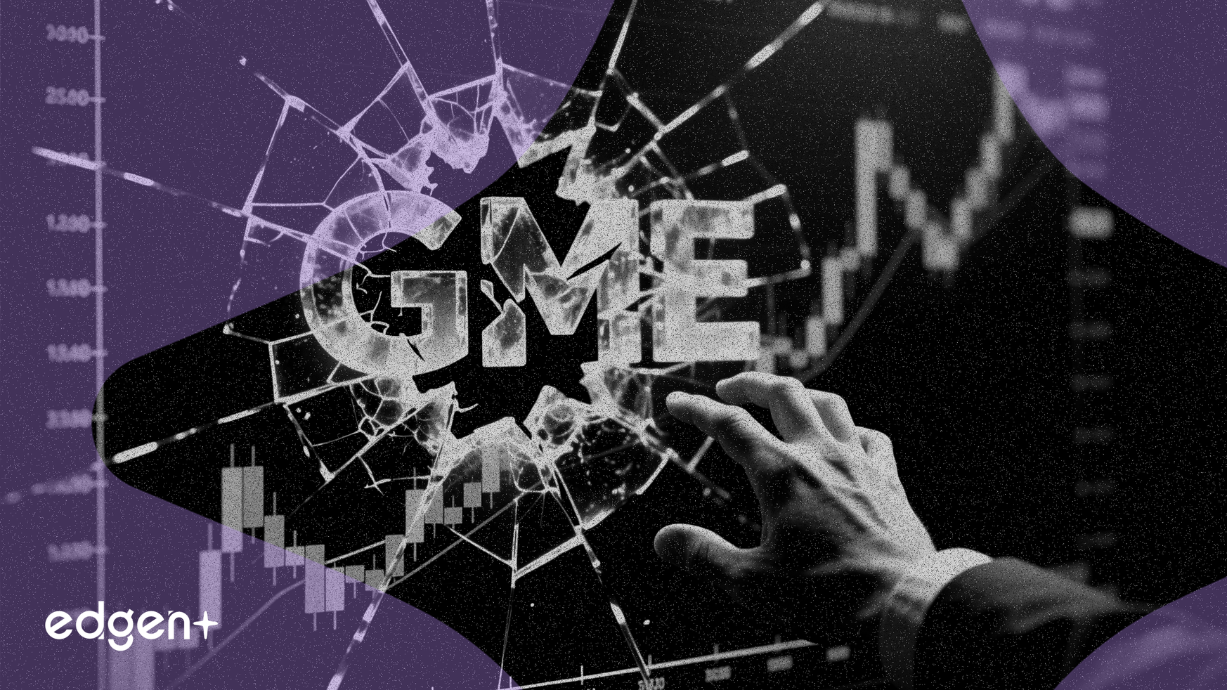 GameStop Volatility Highlights Fundamental Investor Risks