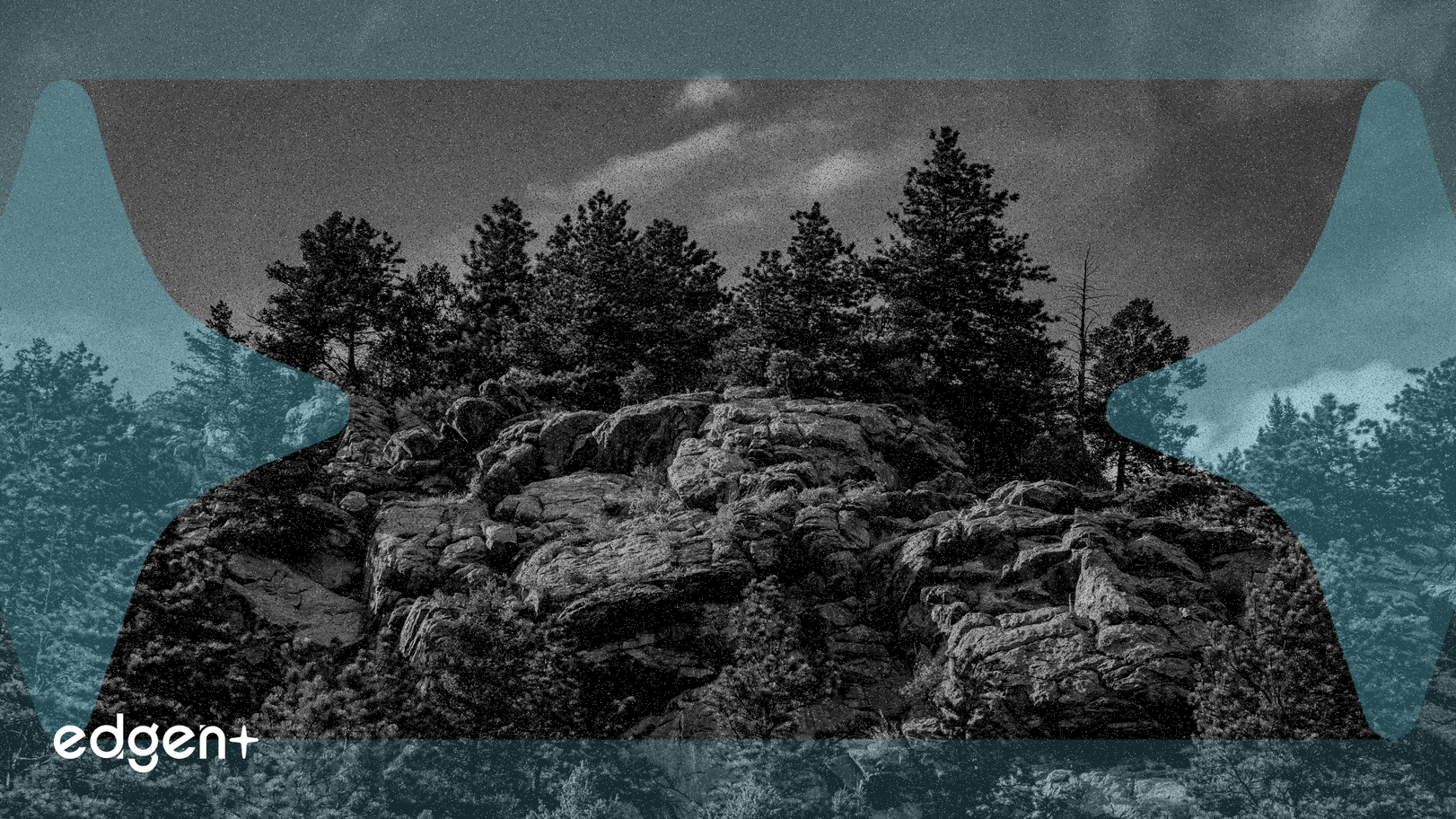 數據儲存行業在更廣泛的技術重新評估中經歷低迷