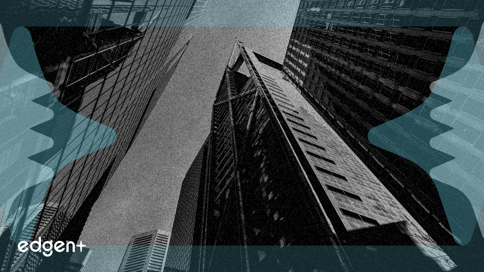 내부자 지분율이 높은 성장 기업, 견고한 매출 성장세 보여