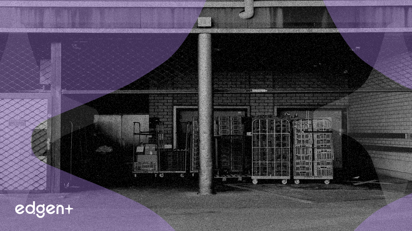 可口可樂預計成本緩解將推動8%的盈利增長