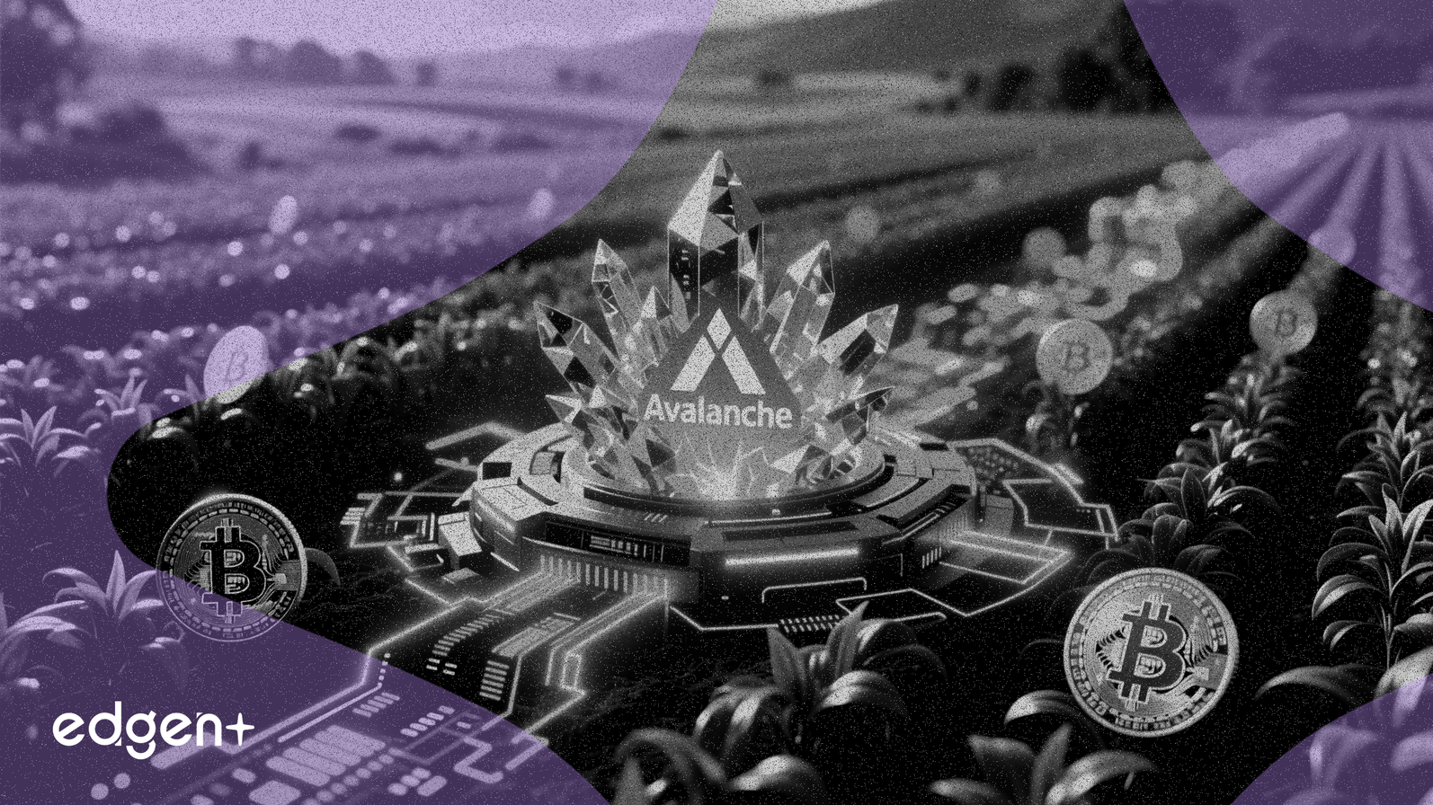 Maalexi 在 Avalanche 上推出農業交易所，代幣化進程取得進展