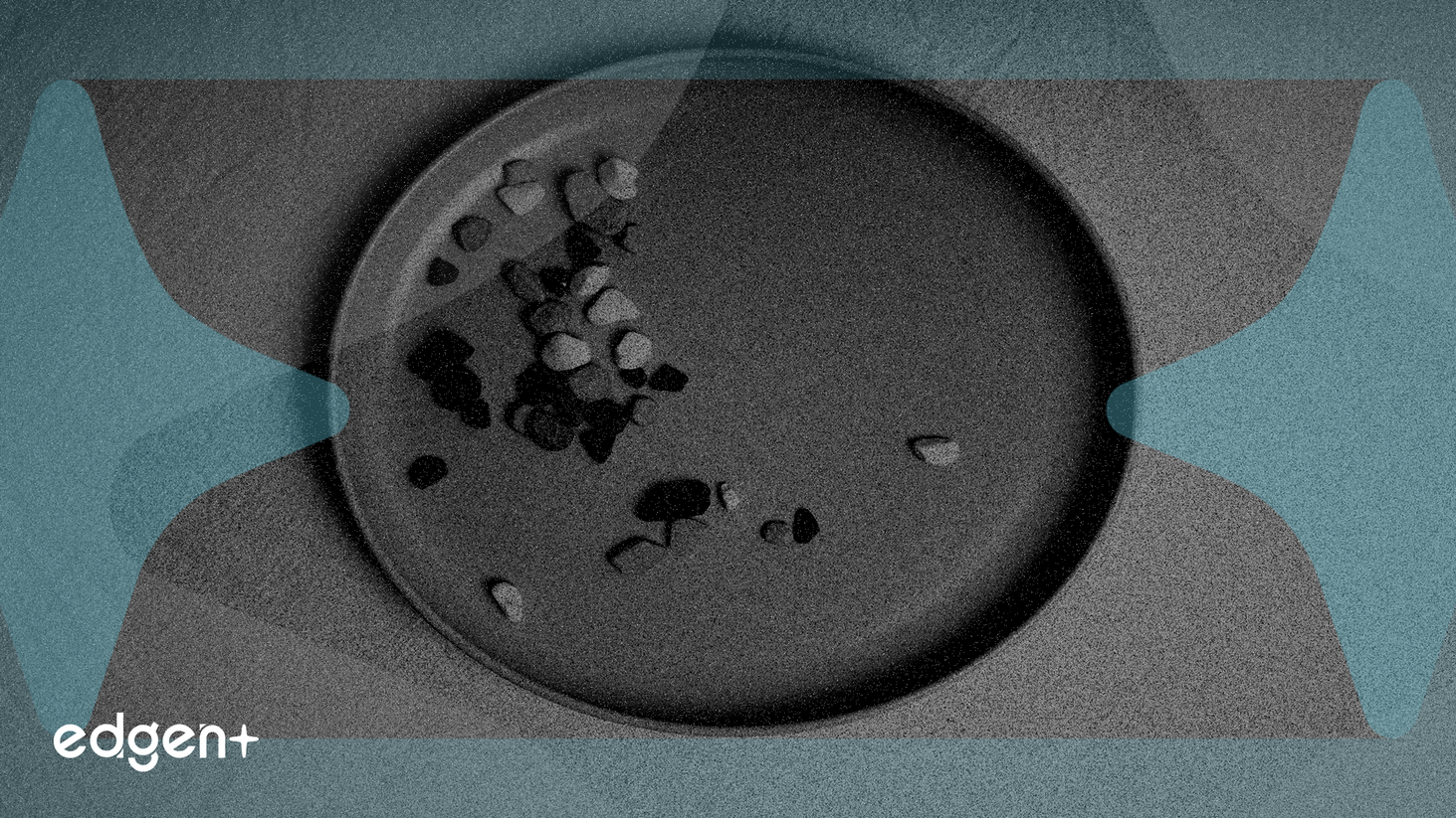 Biotechs Challenge Lilly's Obesity Drug Dominance