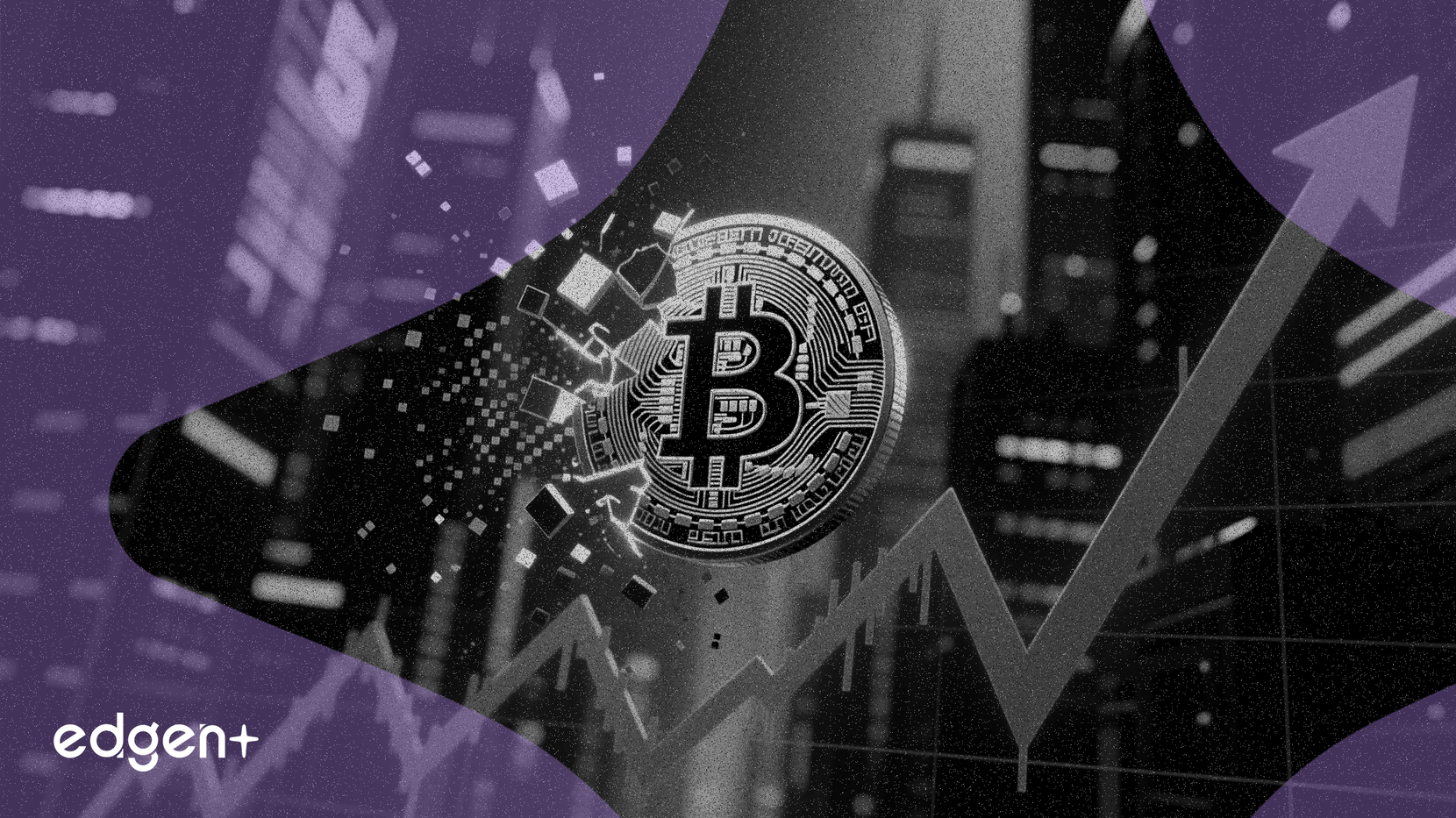 Token Lighter Chuyển 25% Nguồn Cung, Gây Bất Ổn