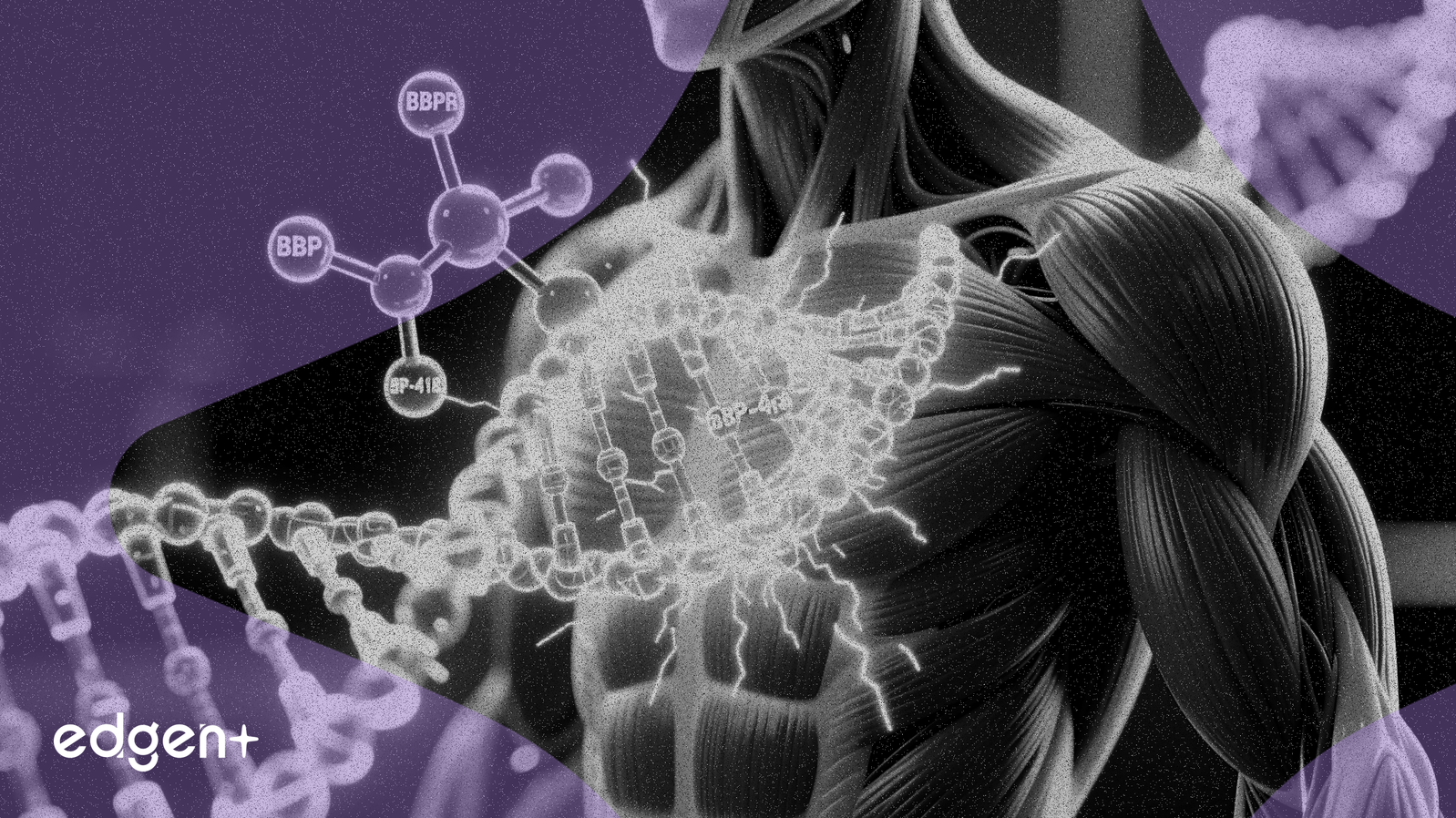 Le BBP-418 Démontre Son Efficacité dans un Essai de Phase Avancée sur la Dystrophie Musculaire