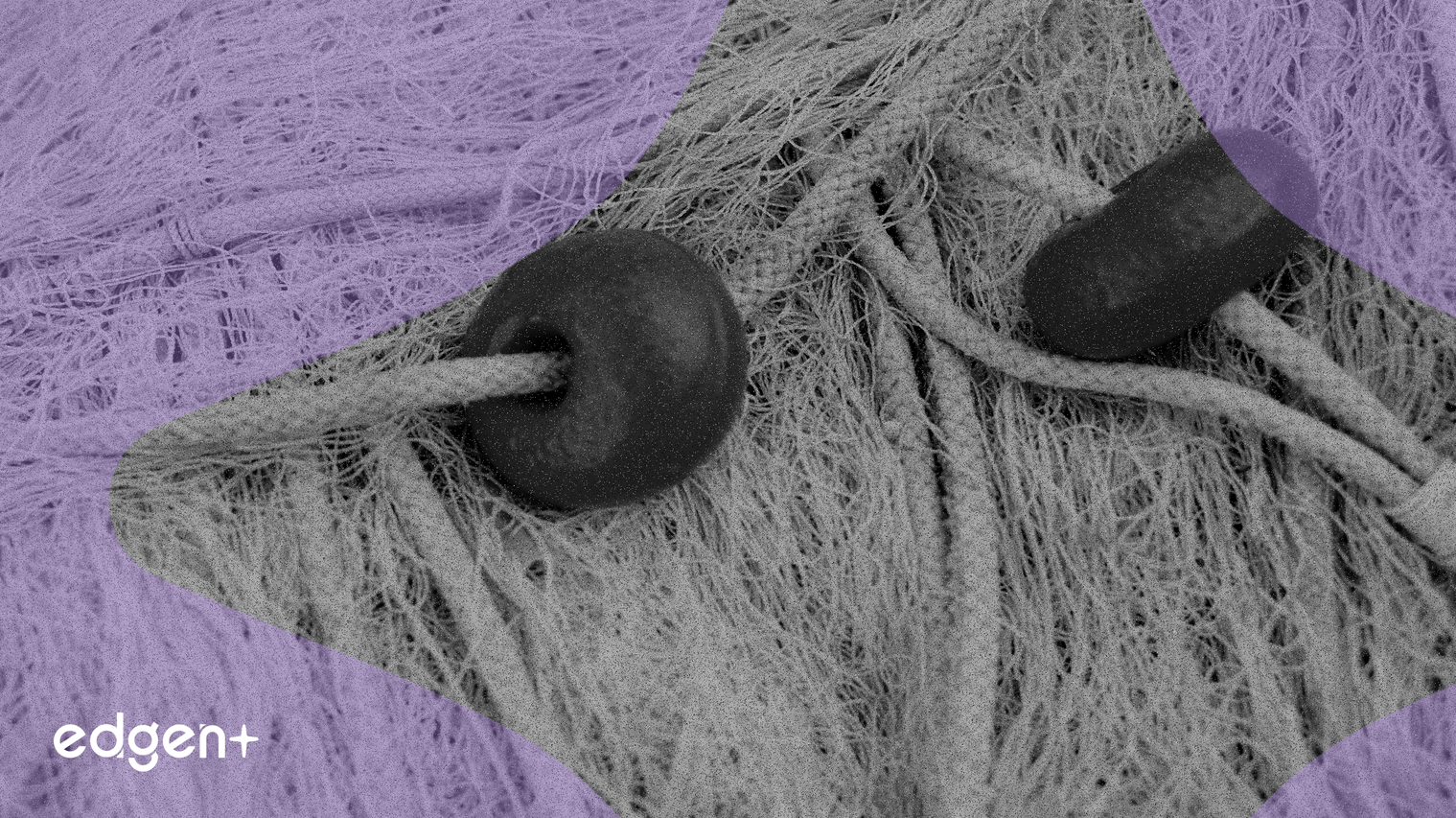 Tether 通過 10 億美元收購增加比特幣儲備