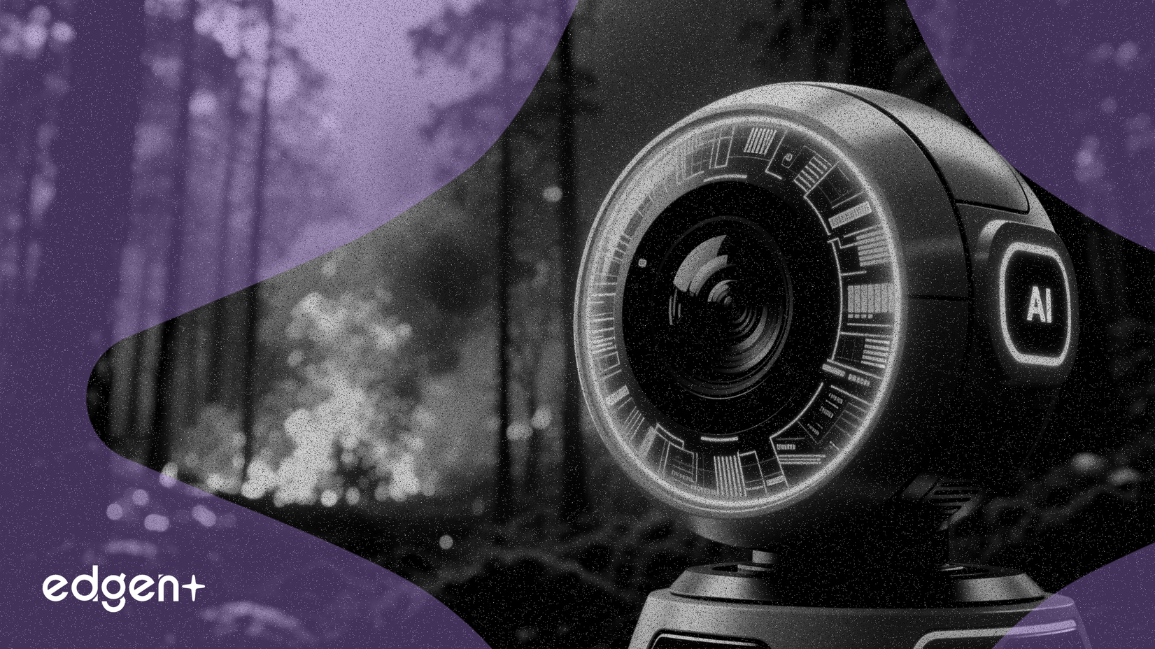 Amazon étend l'écosystème Ring avec la détection de feux de forêt par IA