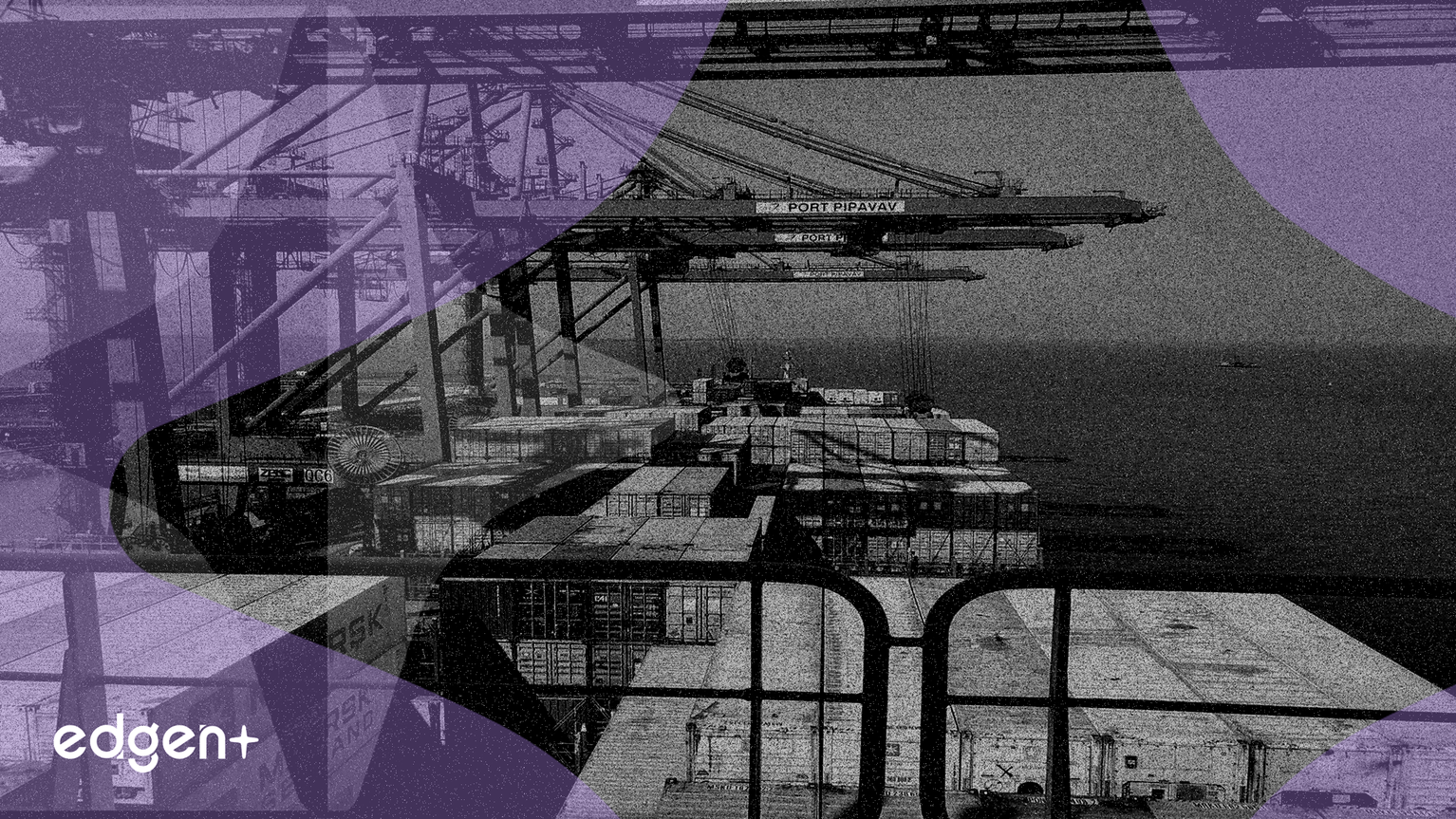 W.R. Berkley nombra a Erin Rotz para liderar la División de Incendios y Marina