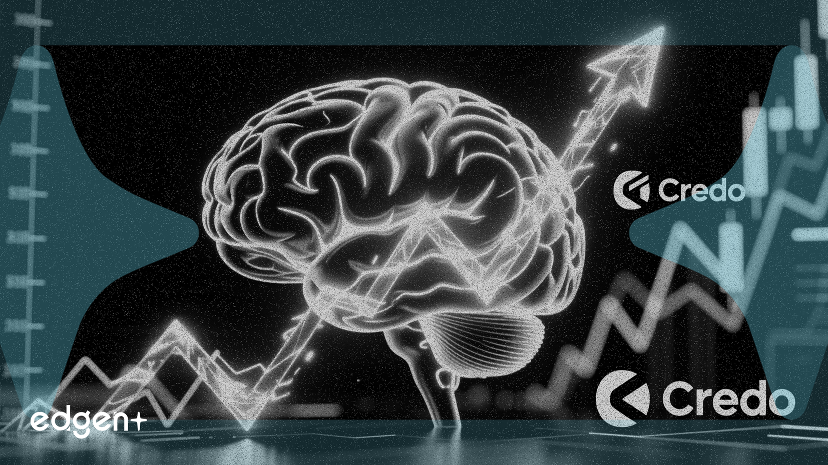 AI Catalysts Propel Adobe and Credo Outlooks