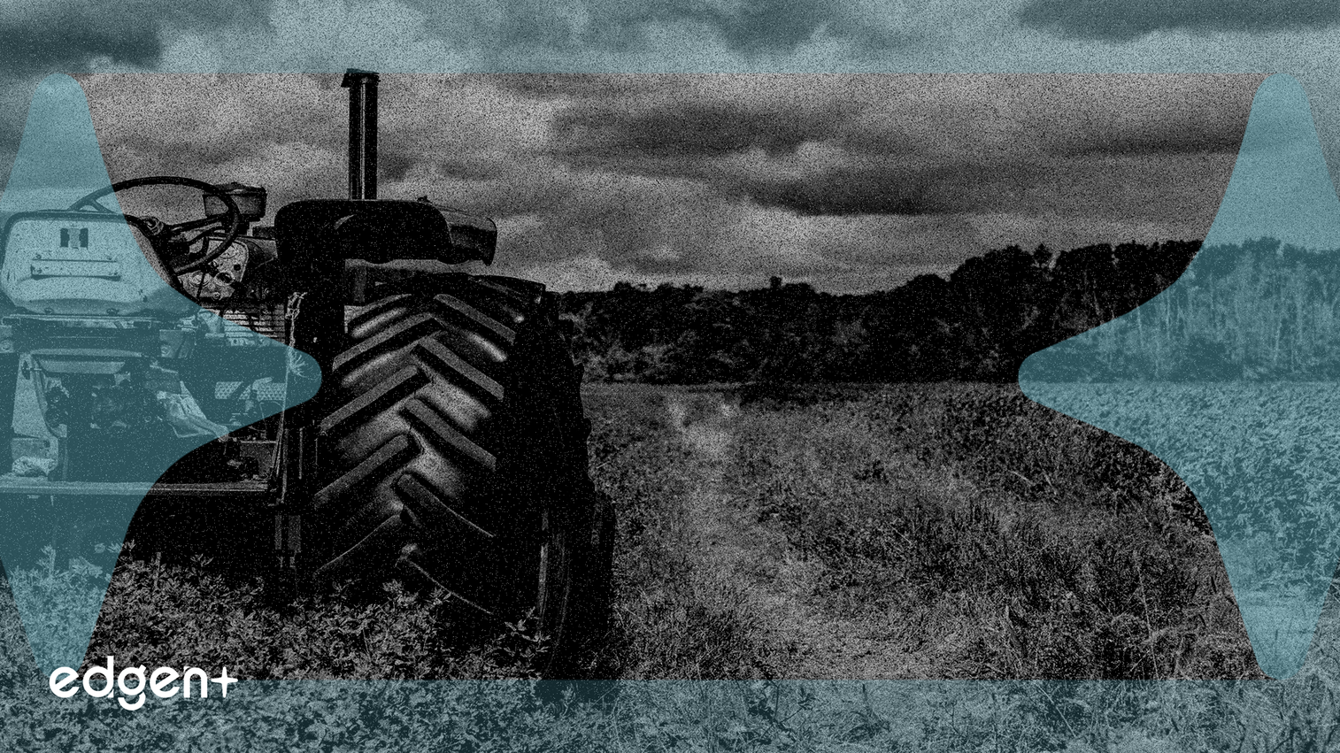 Rising Input Costs Erode Farmer Profitability