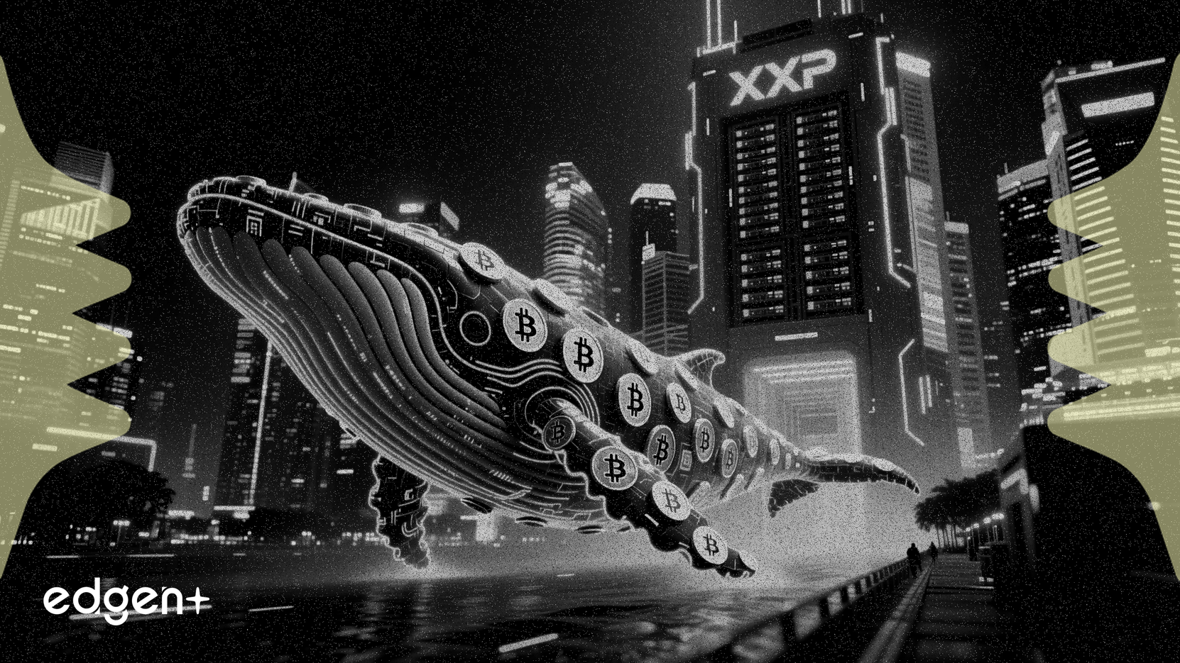 XRPクジラ、30億トークンをシンガポールのマイニング企業に移動